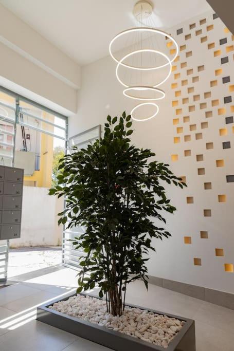 Superb Central Lisbon Apartment 외부 사진